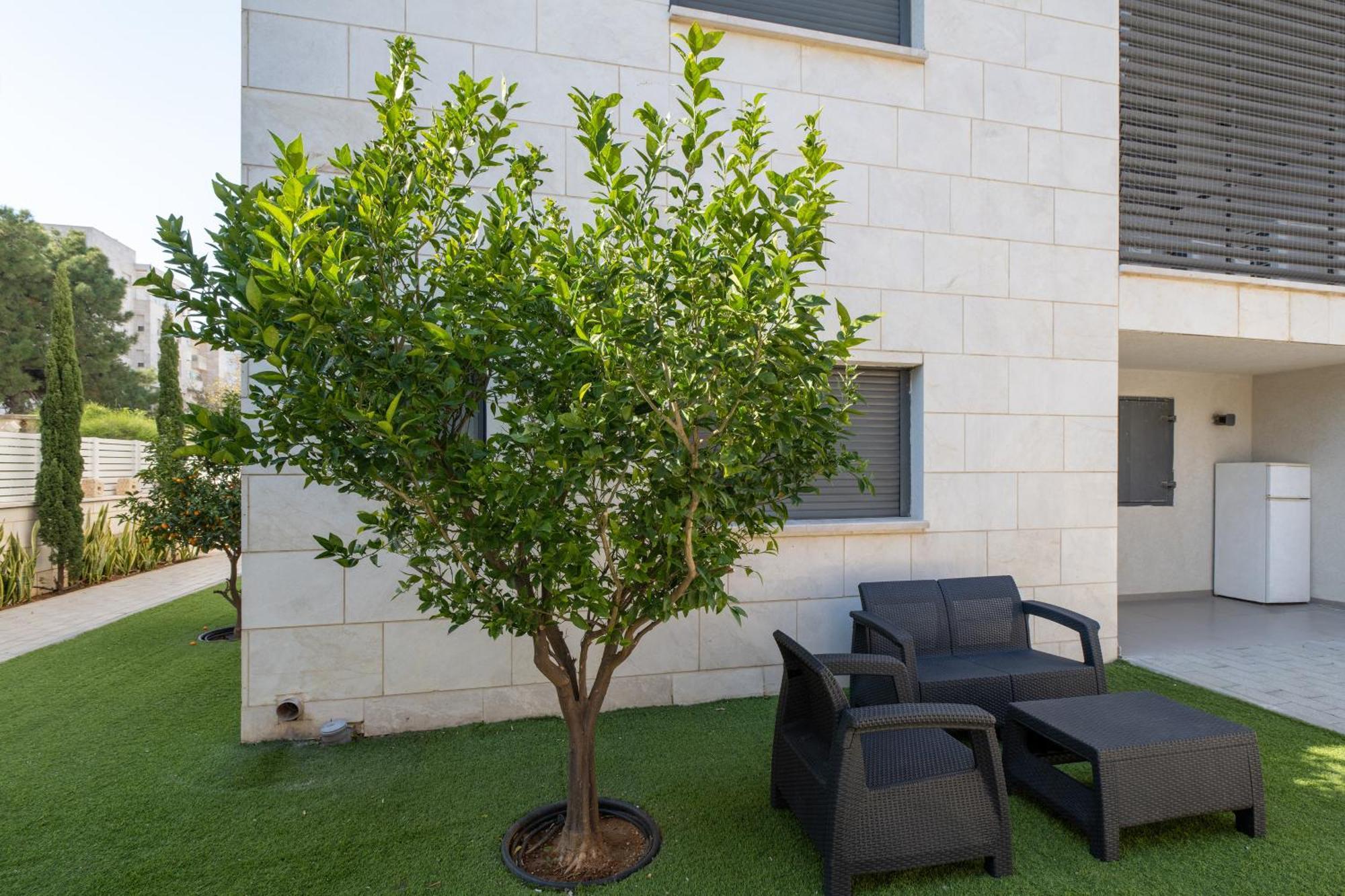 Balfour Sea View City Center Nahariya Exterior photo